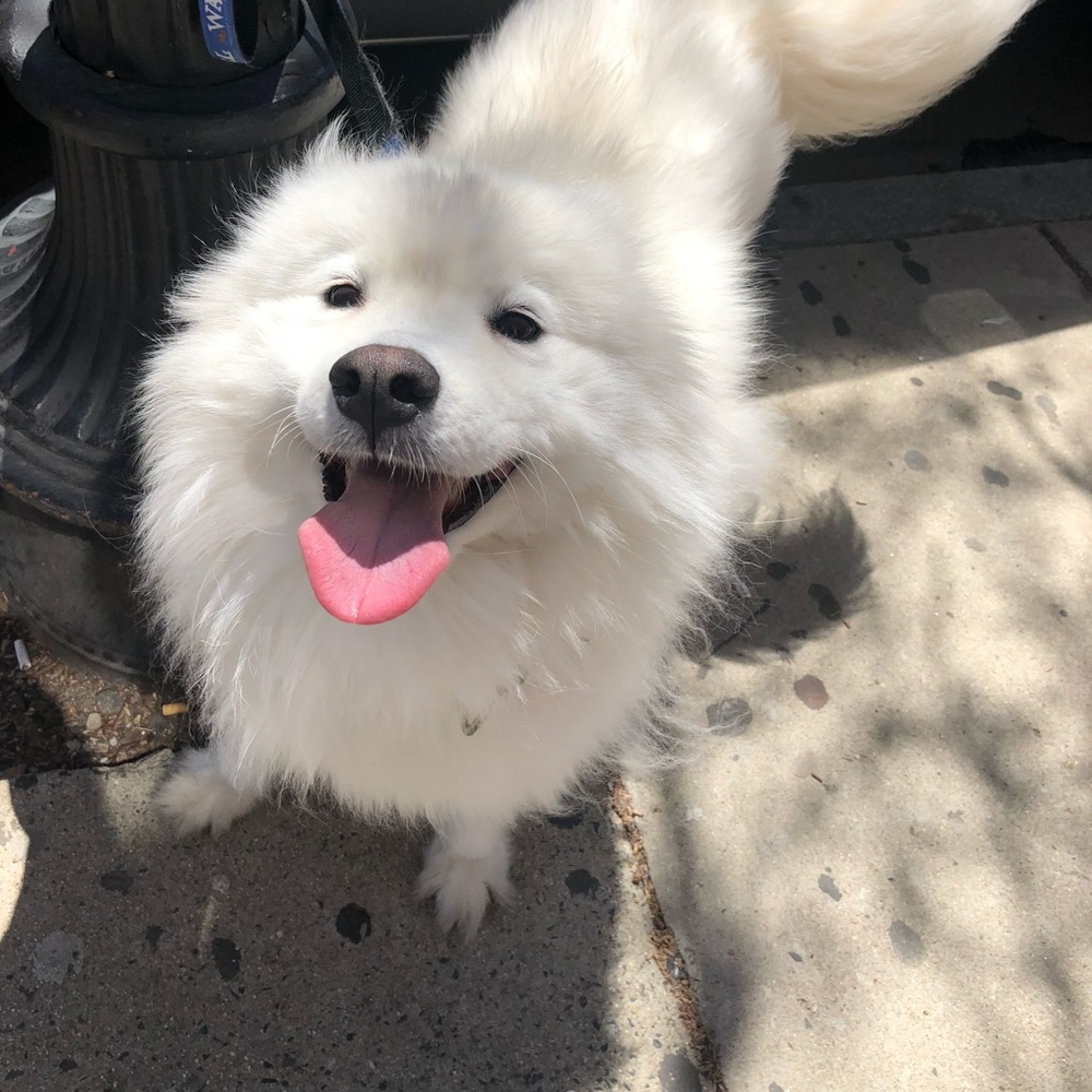 Meet your Posher, Natalie